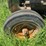 john-deere-d-image-18