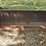 bucket,-severe-duty-telehandler-bucket-44097-image-1