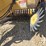 vermeer-605h-image-6