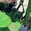 john-deere-2555-image-18