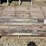 pier-forms-forms-44031-image-2