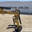 unused-2025-newrick-zw322-image-32