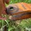 richadton-1200-harvest-wagon-image-10