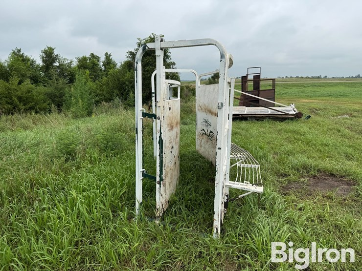 cattle-alleyway-turn-image-4