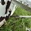 cattle-alleyway-turn-image-15