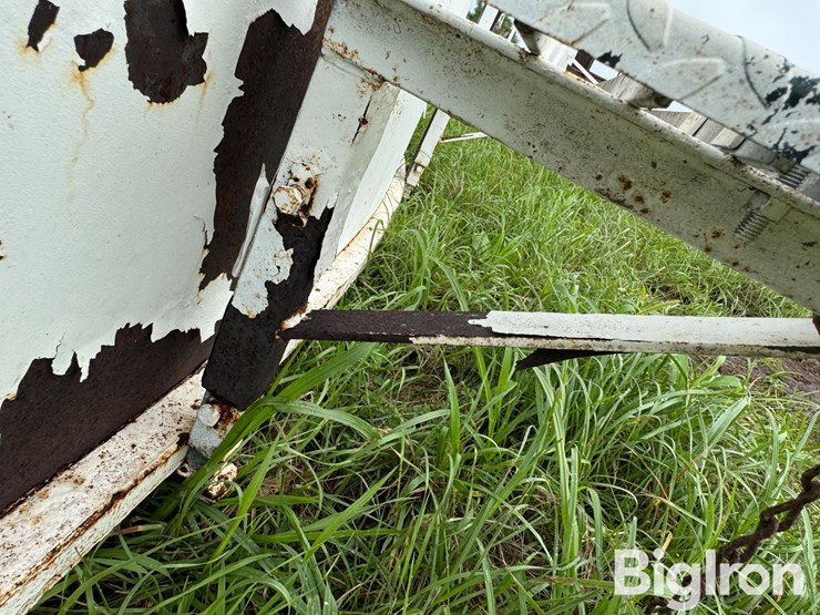 cattle-alleyway-turn-image-15