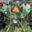 john-deere-2030-image-46