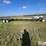 harvest-ag-ah-636-t/a-header-trailer-image-4