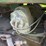john-deere-d-image-23