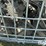 case-ih-1200-image-13