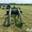 farmhand-f248-image-6