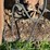 minneapolis-moline-gb-image-46
