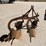 #t13740-•-massey-ferguson-plow-image-3