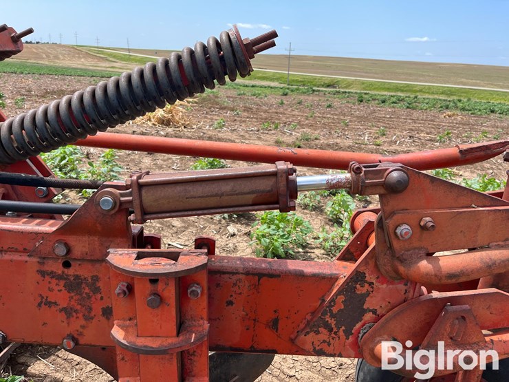 white-plow-image-13