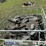case-ih-1200-image-8