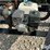 bestway-t/a-nurse-trailer-image-14