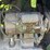 john-deere-d-image-21