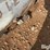 bulk-fuel-tank-image-14