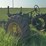 john-deere-gpwt-image-3
