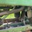john-deere-h-image-15