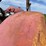 massey-ferguson-97-image-33