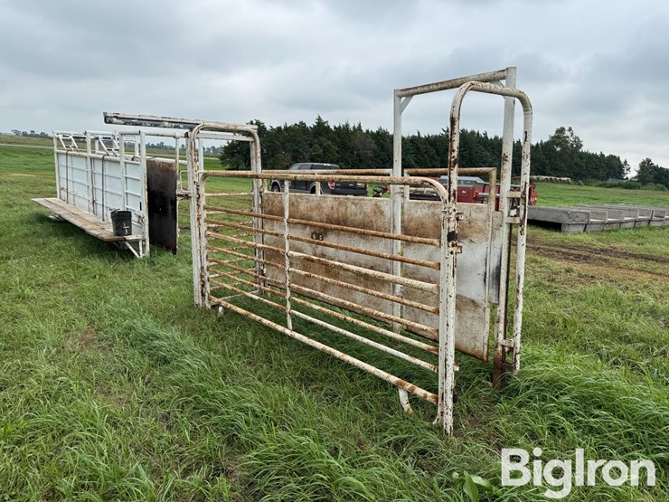 cattle-alleyway-image-5