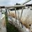cattle-alleyway-turn-image-10