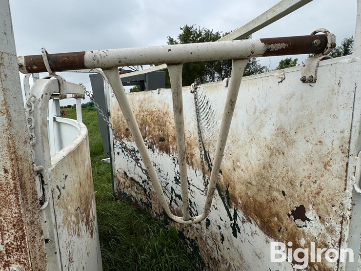 cattle-alleyway-turn-image-10