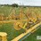 2000-vermeer-wrv10-image-16