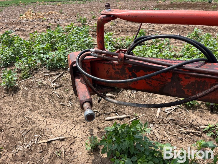 white-plow-image-9