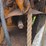minneapolis-moline-zau-image-38