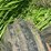 john-deere-720-image-14
