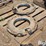 case-ih-24-image-3