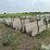 concrete-feed-bunks-image-3