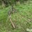 3-pt-bale-mover-image-7