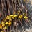 electric-fence-posts-image-10