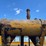 caterpillar-sixty-image-88