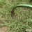 john-deere-100-image-13