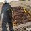 electric-fence-posts-image-8