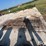 gate-&-cattle-panels-image-6