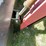 2000-massey-ferguson-2210-image-14