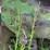 john-deere-730-image-47