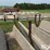 concrete-feed-bunks-image-10
