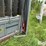 silencer-cattle-chute-image-15