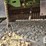 1989-john-deere-566-image-5