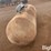 american-welding-&-tank-propane-tank-image-6