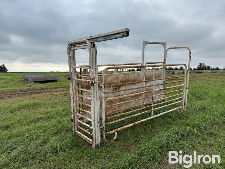 cattle-alleyway-image-7