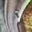 john-deere-h-image-34