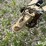unverferth-3750-image-9