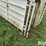 cattle-alleyway-image-15